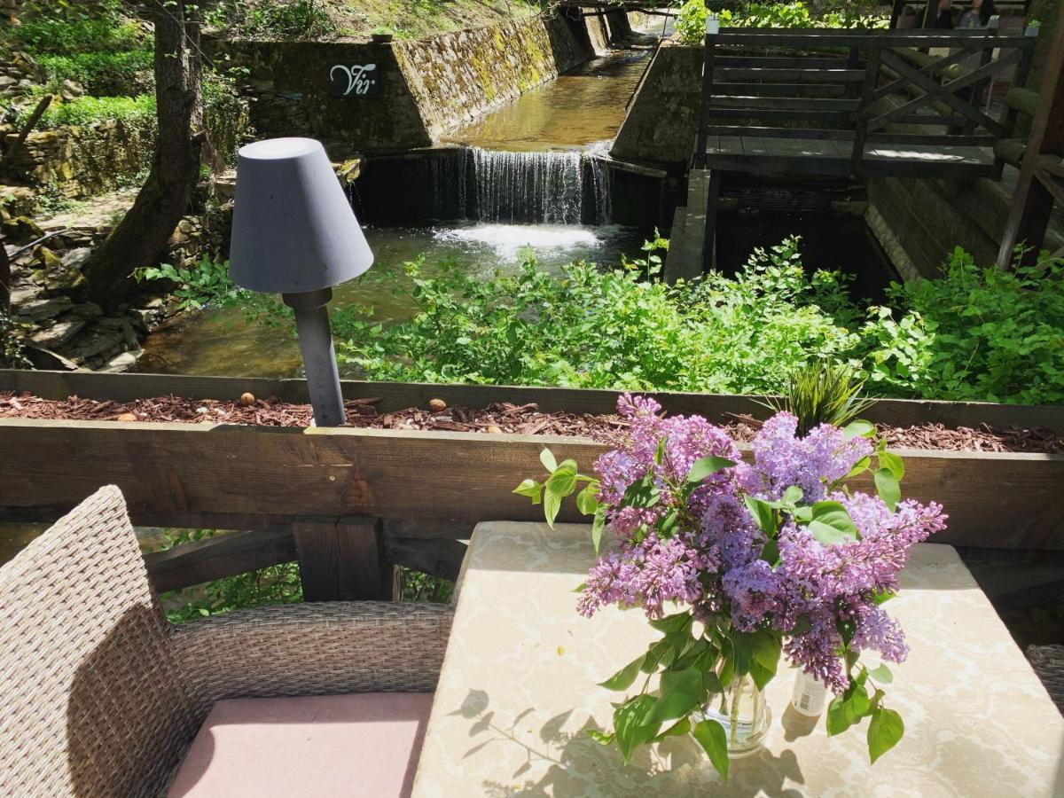 Vrnjačka Banja Garni Hotel Vir المظهر الخارجي الصورة