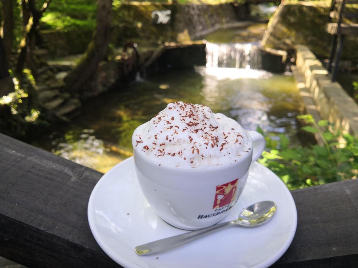 Vrnjačka Banja Garni Hotel Vir المظهر الخارجي الصورة